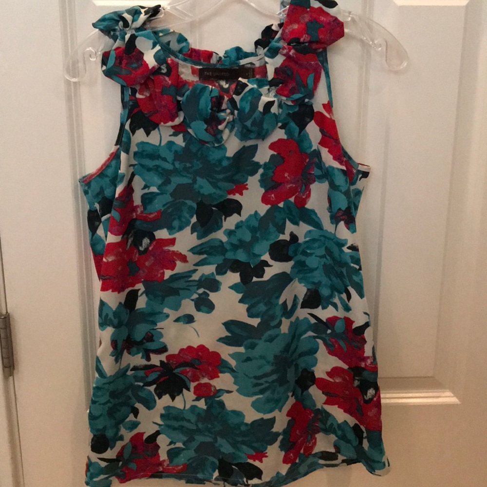 The Limited Dress Top